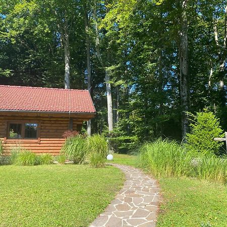 Villa Huette Am Wald à Hof bei Salzburg Extérieur photo