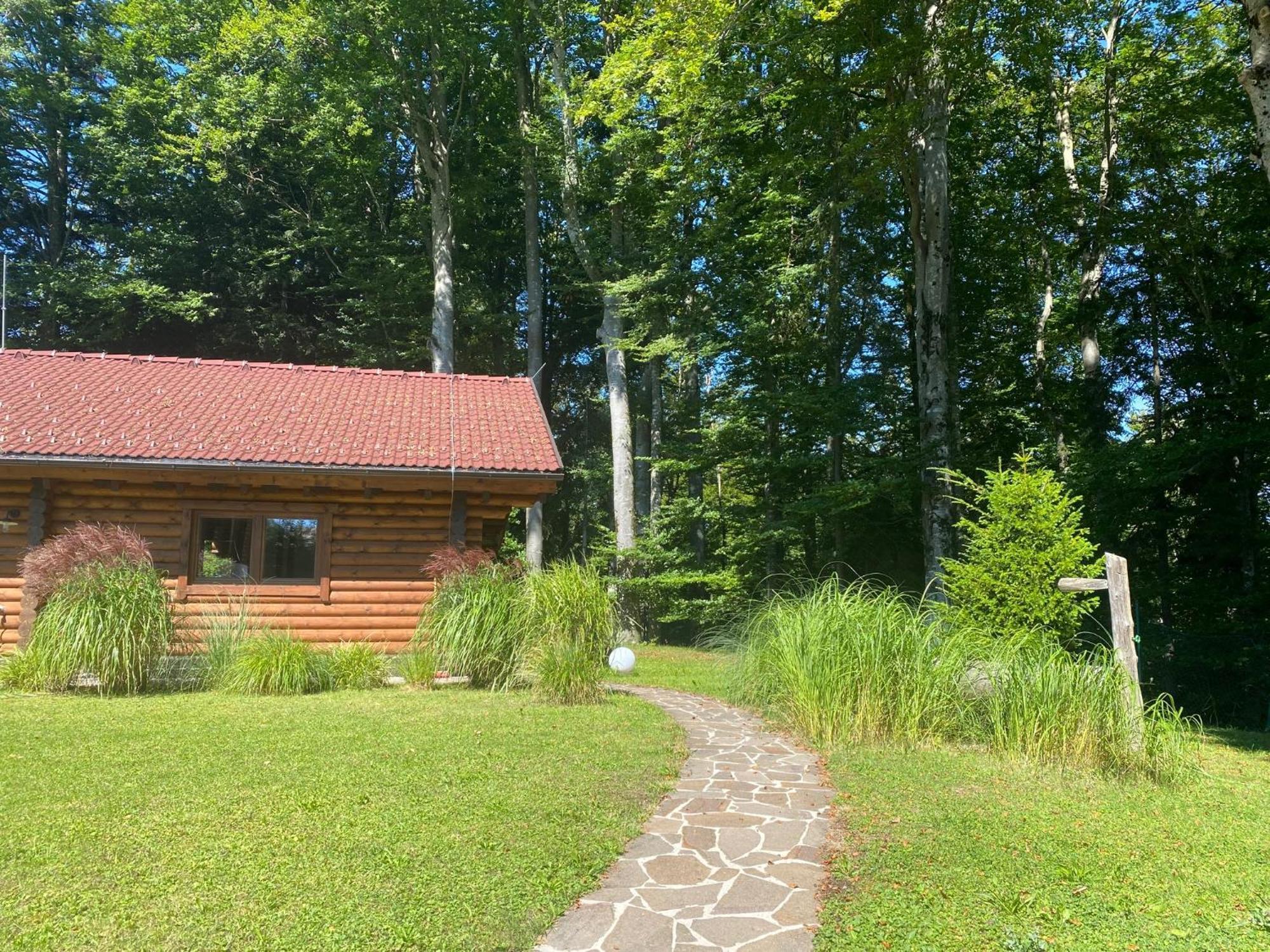 Villa Huette Am Wald à Hof bei Salzburg Extérieur photo