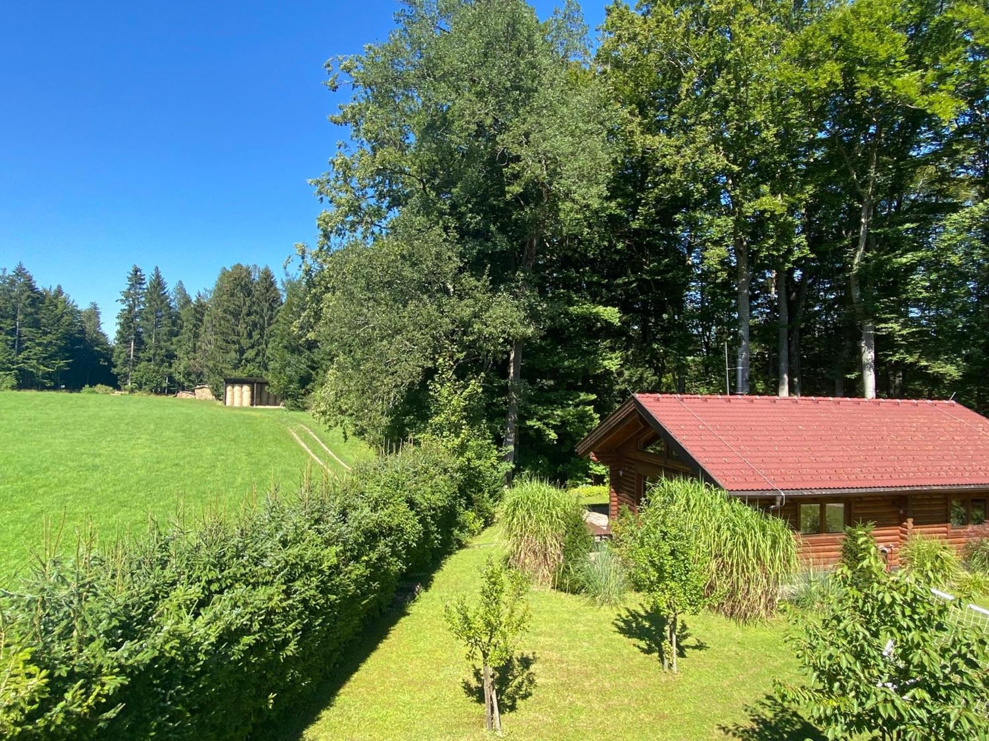 Villa Huette Am Wald à Hof bei Salzburg Extérieur photo